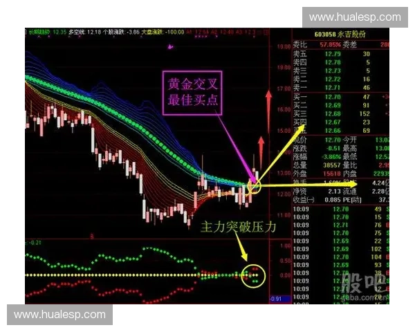 体育数据分析师视角下的赛事表现深度解析与趋势预测